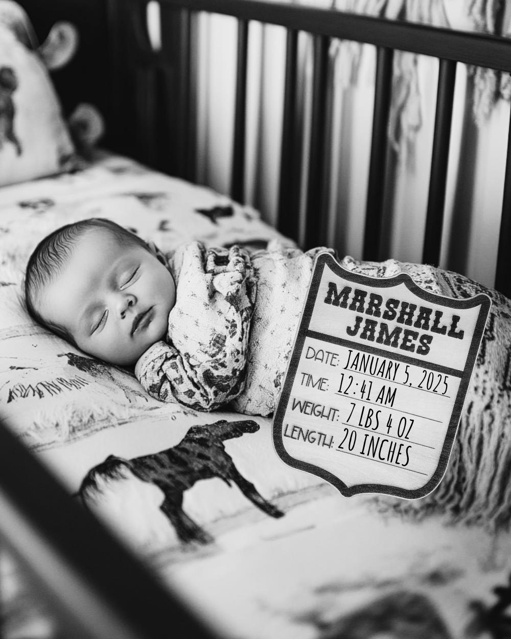 Personalized Birth Announcement Sign handmade by Ranch Haus Creations